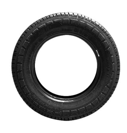 Michelin Agilis