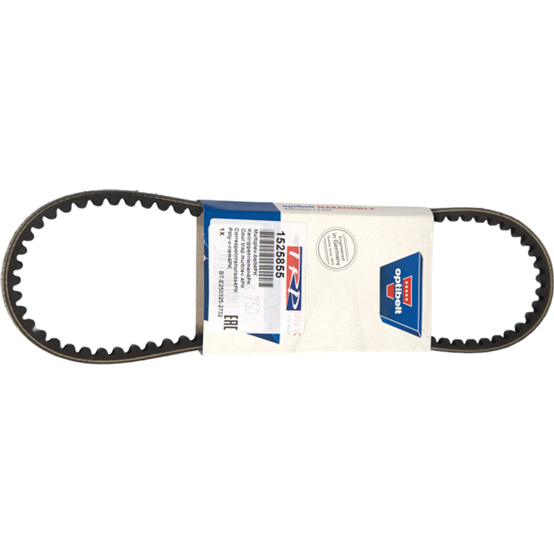 1525855 CORREA POLI-V 4PK